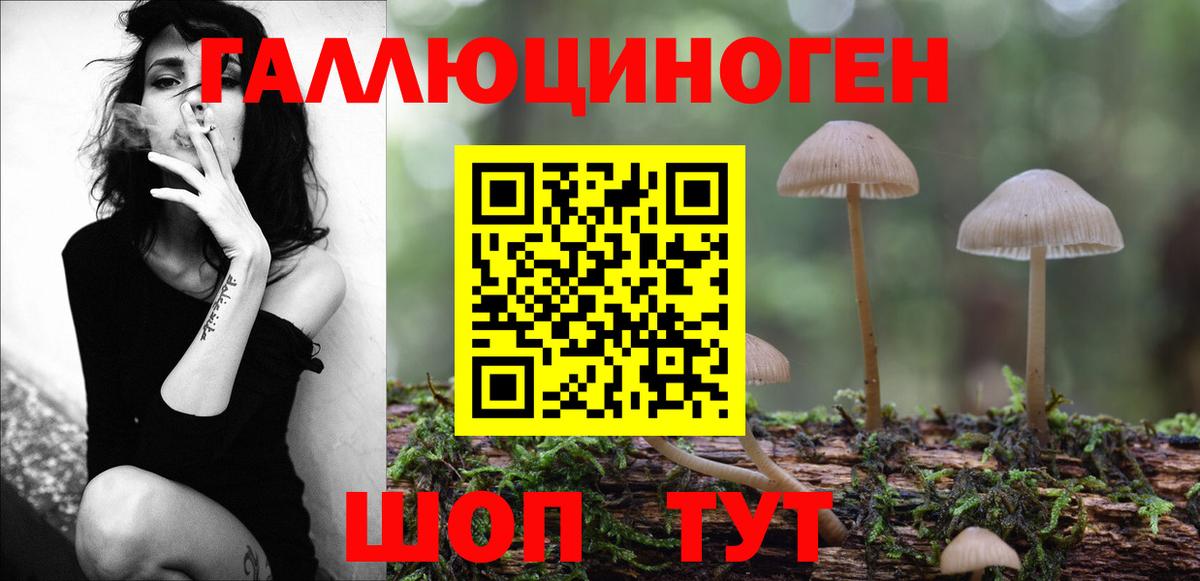 Галлюциногенные грибы Psilocybe  Галлюциногенные грибы прущие грибы  Полевской  Вход с VPN 